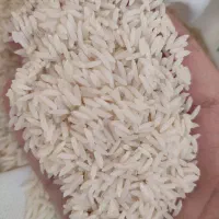 برنج هاشمی معطر درجه یک