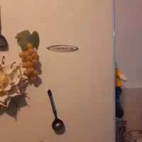 یخجال فریزردر حد نو