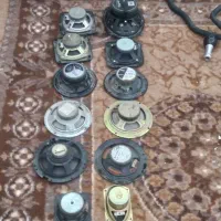 ۱۲ عدد باند سالم