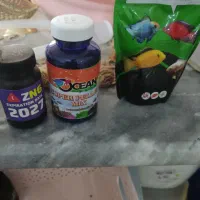 آکواریوم بزرگ