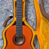 گیتار فلامنکو فوق العاده خوش صدا|گیتار، بیس، امپلیفایر|قم, باجک سه|دیوار