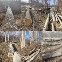 خریده چوب آلات