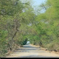 زمین اسیاب(سیدبر)