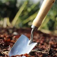 سفر هیجان انگیز، سلامت محور و درآمدزا