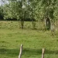 زمین-مسکونی-با-نامه-کاربری-بنیاد-مسکن