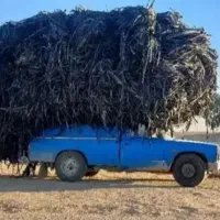 خرید شلنگ قطره‌ ای و پلاستیک