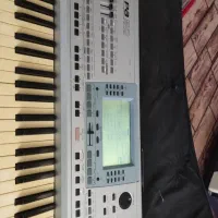 اورگ پی پنجاه|پیانو، کیبورد، آکاردئون|بشاریات, |دیوار