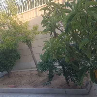 اجاره آپارتمان ۱۵۰متر ۲خوابه همکف در بابوکان|اجارهٔ آپارتمان|اصفهان, بابوکان جنوبی|دیوار