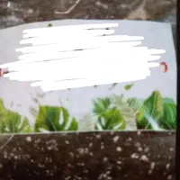 خاک مغذی مخصوص گیاهان