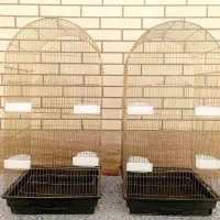 قفس بزرگ کاسکویی