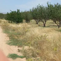 باغ دراهر
