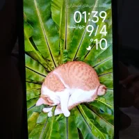 گوشی شیایومی نوت ۱۳ 4G|موبایل|گرگان, |دیوار