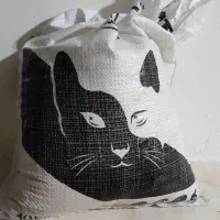 خاک گربه