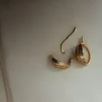 گوشواره شکسته نرخ خام