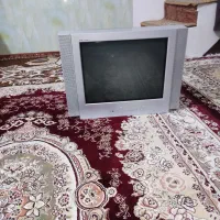 تلویزیون