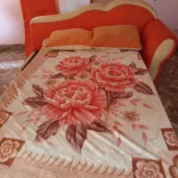 مبل تختخواب شو|تخت و سرویس خواب|یاسوج, |دیوار