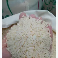 برنج هاشمی و طارم استان گیلان|خوردنی و آشامیدنی|تهران, صادقیه|دیوار