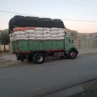 کاه سفید‌کرمانشاه