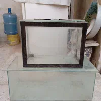آکواریوم کوچک و بزرگ