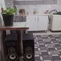 سیستم سوتی باند