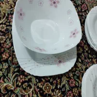 یه دست آرکوپال تکمیل|ظروف سرو و پذیرایی|سنندج, |دیوار