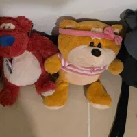 پنج عدد عروسک پولیشی