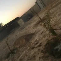 باغ چاهبردی|فروش دفتر صنعتی، کشاورزی، تجاری|بندر گناوه, |دیوار