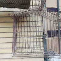 قفس پرنده فقط ۳۰۰ تومن مقطوع|لوازم جانبی حیوانات|خرمشهر, |دیوار
