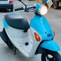 پاکشتی دخترونه