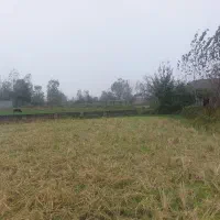 ۶۰۰‌متری‌لولمان ‌چهارده|فروش خانه و ویلا|بابل, |دیوار