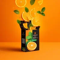 استخدام ویزیتور