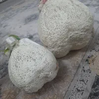 سبد خنچه عروس ۲ تایی|صنایع دستی و سایر لوازم تزئینی|ری, دیلمان|دیوار