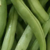 لوبیا سبز ۴۰