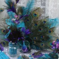 پرطاووس هندی وارداتی