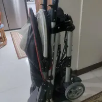 کالس‌که عصایی کاپلا