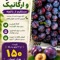 آلو تازه و ارگانیک باغچه