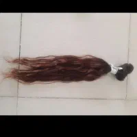 خریدار موهای واقعی شما هستم ۴۰میلیون