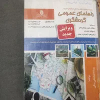 راهنمای عمومی گردشگری دهم دبیرستان|کتاب و مجله تاریخی|شیراز, کوشک میدان|دیوار