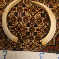 ...کشکول|کلکسیون و سرگرمی|چالوس, |دیوار