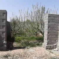 زمین ۴ دیواری سهیلیه|فروش زمین و ملک کلنگی|کرج, شهرک الهیه|دیوار