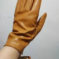 دستکش زنانه|لباس|رشت, باهنر|دیوار