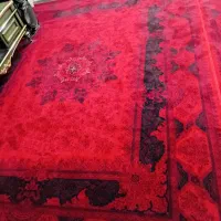 فرش ۱۲ متری نو|فرش|مشهد, کوشش|دیوار