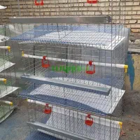 قفس|لوازم جانبی حیوانات|بجنورد, |دیوار