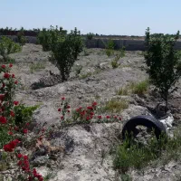 ۱۰۰۰متر باغچه انجم آباد