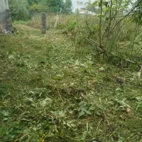 چمنزنی علفزنی با دستگاه