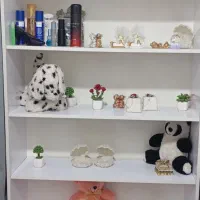 قفسه و کتابخانه