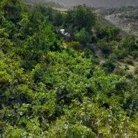 سوالات آزمون