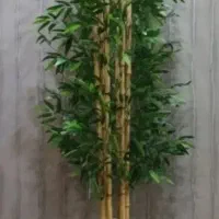 درخت بامبو|گل و گیاه طبیعی|ساوه, |دیوار
