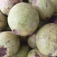 گردو درجه یک مغز سفید روغنی