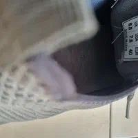 کفش اسپرت|کیف، کفش، کمربند|تهران, باغ فیض|دیوار